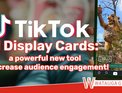 Enhance Ad Engagement with Interactive Display Cards on TikTok